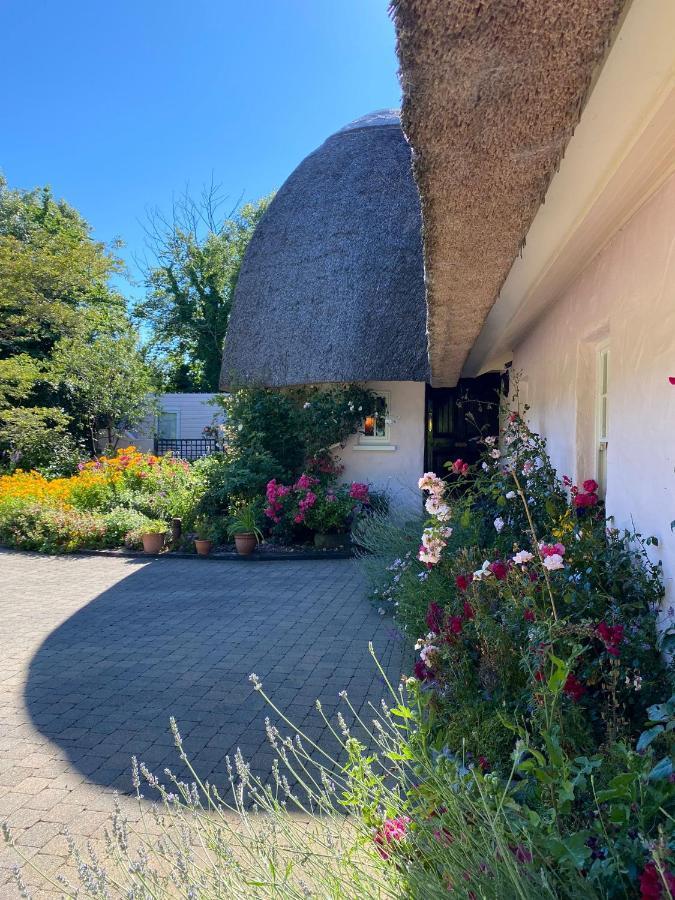 Weir Haven Boutique Accommodation Clarinbridge Extérieur photo